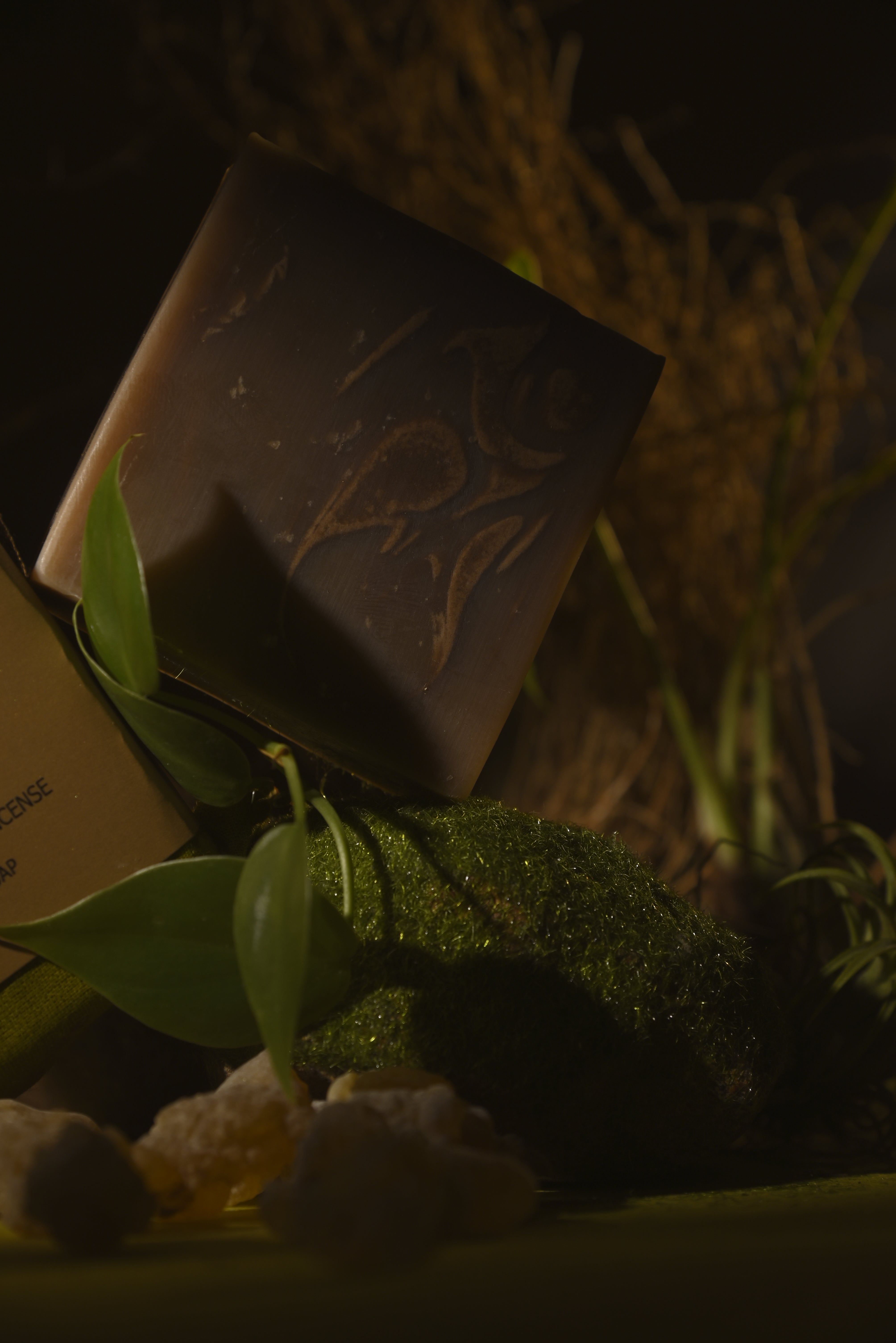 Rainforest soap
